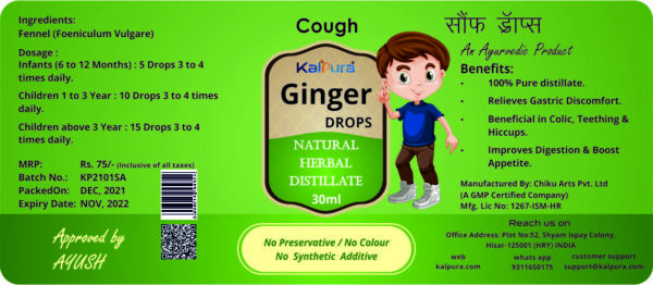 Ginger Drops - For : Gas + Colic - Glass Bottle with Glass Dropper - 90ML (Pack of 3 Bottle)