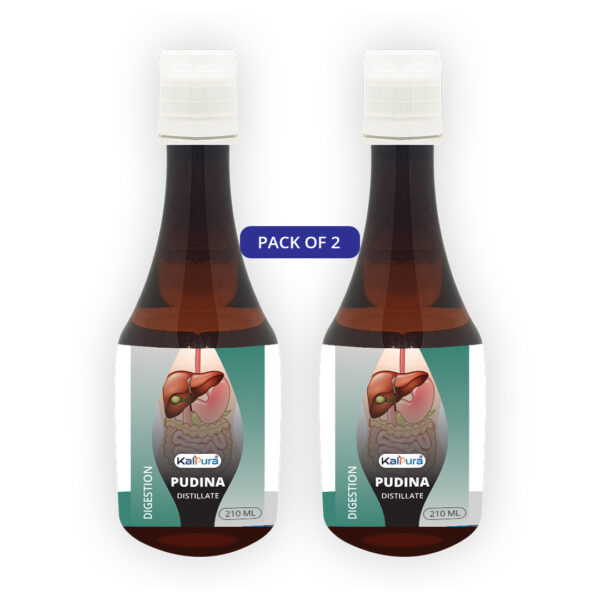 Pudina - For; Digestion - 0.5ml