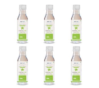 Kalpura Premium Pudina Ark [1200ml ] – Pure Mint Distillate for Instant Gas & Acidity Relief | Natural Cooling Digestive Tonic | Soothes Stomach Pain & Nausea | Sugar-Free